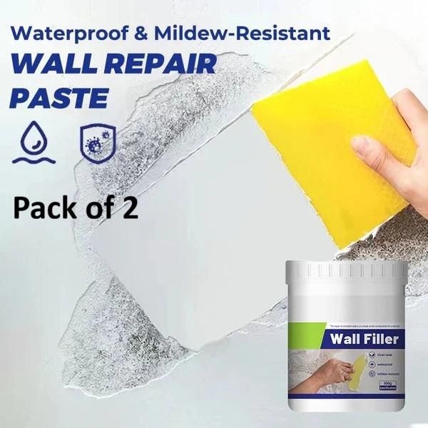 Waterproof Mildew Resistant Wall Repair Paste 100 gm (Pack of 2)